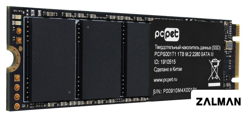 SSD PC Pet 1TB PCPS001T1