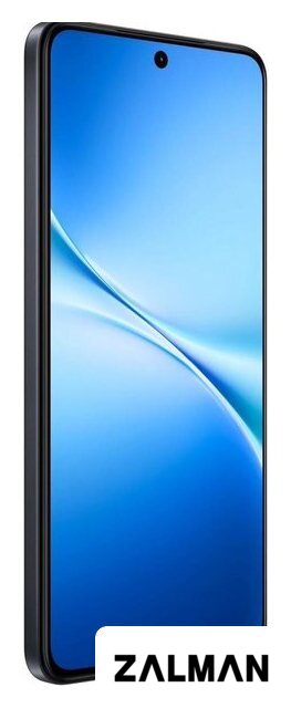 Телефон Vivo V60 Lite 5G V2529 12GB/256GB международная версия (элегантный черный)