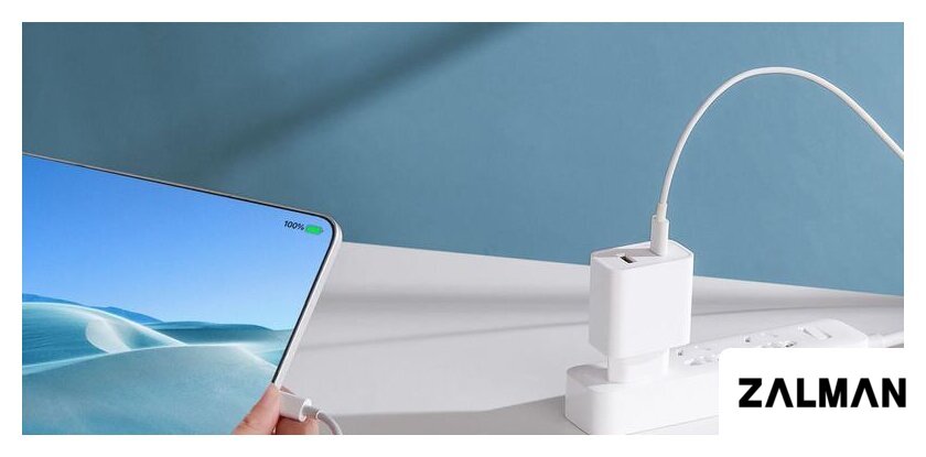 Сетевое зарядное Xiaomi Mi 33W Wall Charger AD332EU (международная версия)