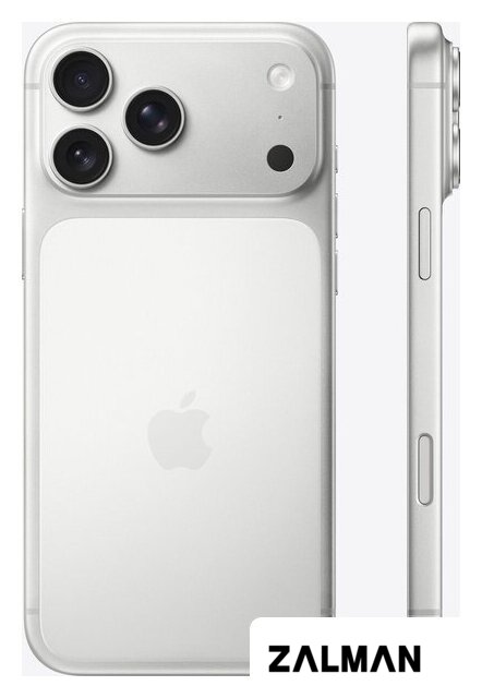 Телефон Apple iPhone 17 Pro Max 256GB (серебристый)