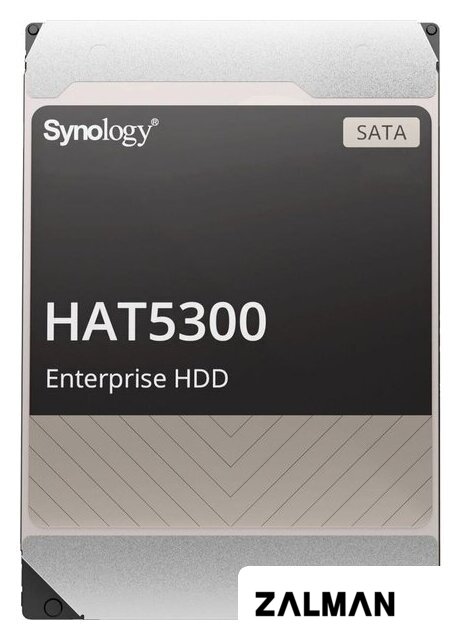Жесткий диск Synology HAT5300 20TB HAT5310-20T