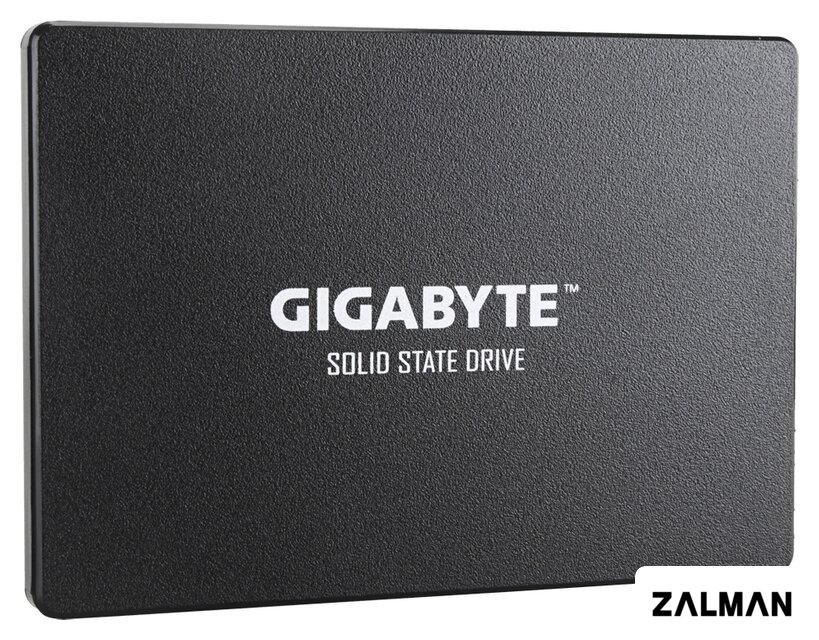 SSD Gigabyte 256GB GP-GSTFS31256GTND