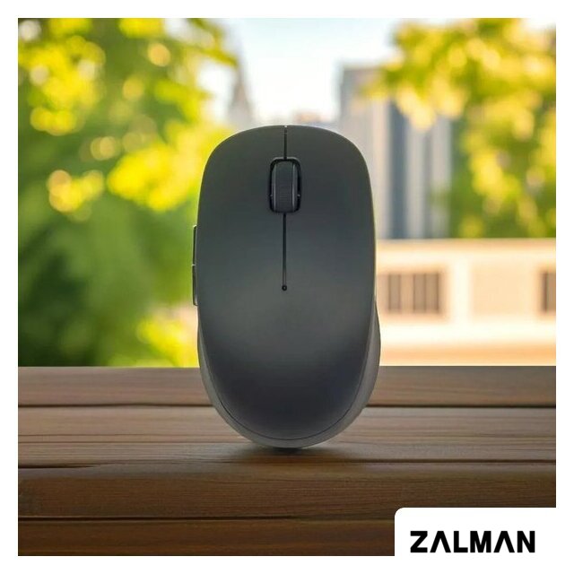 Мышь Xiaomi Mi Dual Mode 2 XMSMSB01YM (черный, китайская версия)