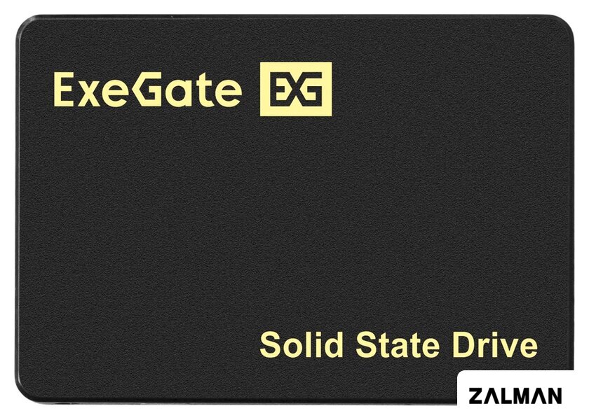 SSD ExeGate Next Pro+ UV500TS1TB 1TB EX295277RUS