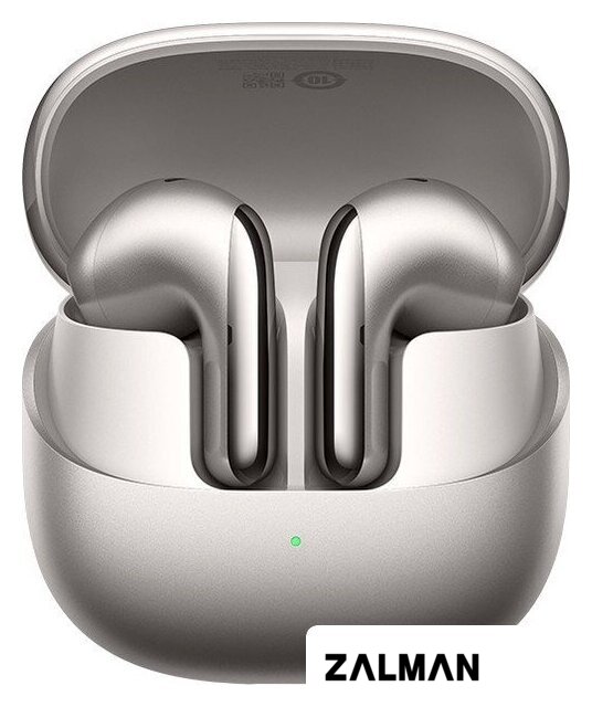 Наушники Xiaomi Buds 5 M2341E1 (серый титан, международная версия)