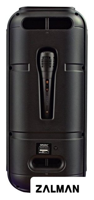 Беспроводная колонка Ginzzu GM-235