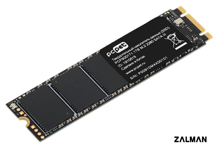 SSD PC Pet 1TB PCPS001T1