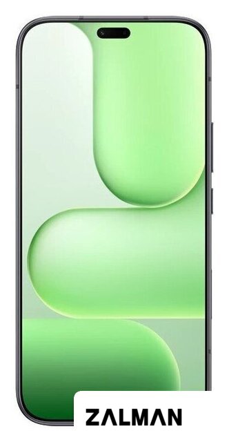 Телефон HONOR 600 Lite 8GB/256GB международная версия (вельветовый черный)