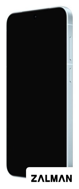 Телефон Vivo X300 V2515 12GB/256GB международная версия (голубой)