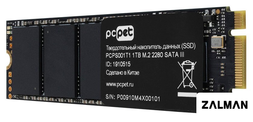 SSD PC Pet 1TB PCPS001T1