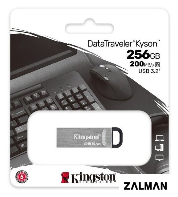USB Flash Kingston Kyson 256GB