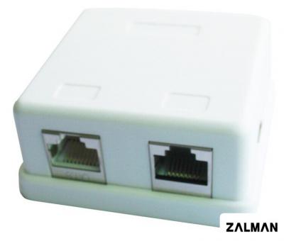 Розетка компьютерная Gembird NCAC-HS-SMB2 Розетка компьютерная Gembird NCAC-HS-SMB2
