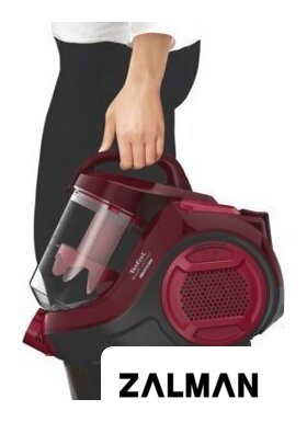 Пылесос Tefal TW2943EA