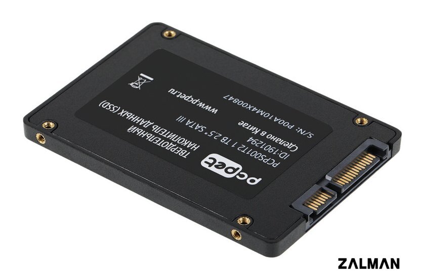 SSD PC Pet 1TB PCPS001T2