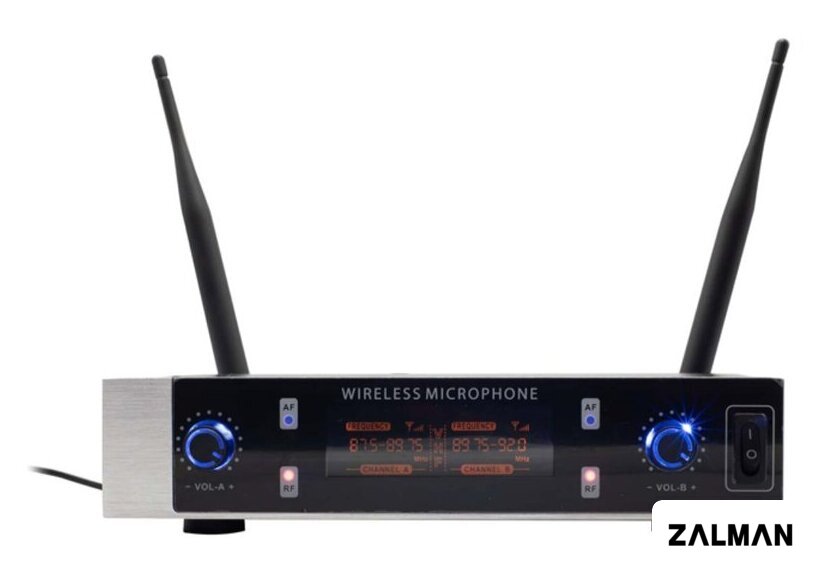 Радиосистема Ritmix RWM-230