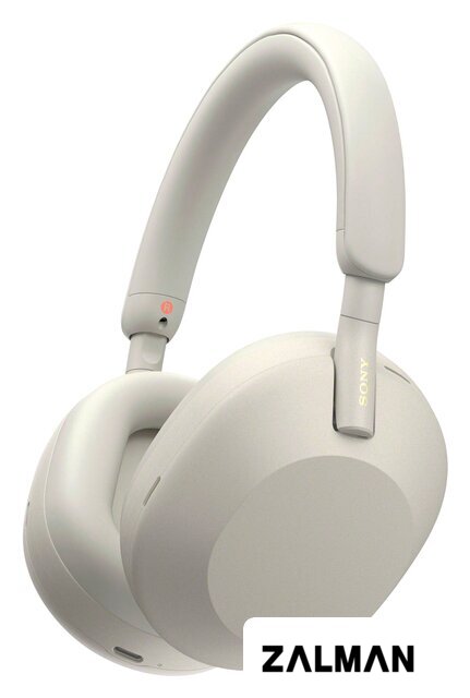 Наушники Sony WH-1000XM5 (серый)