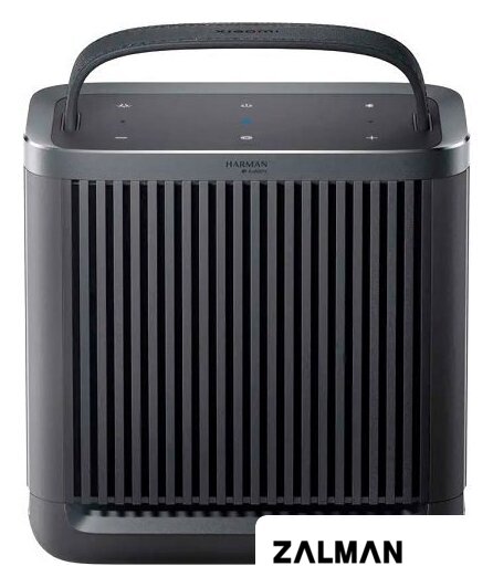Беспроводная колонка Xiaomi Xiaomi Outdoor Bluetooth Speaker Camp ASM06A (китайская версия)