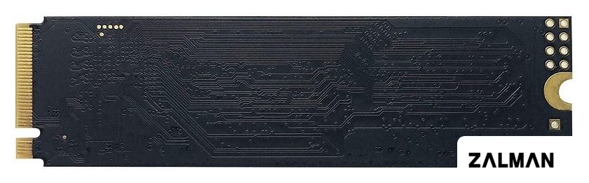 SSD Patriot P300 1TB P300P1TBM28