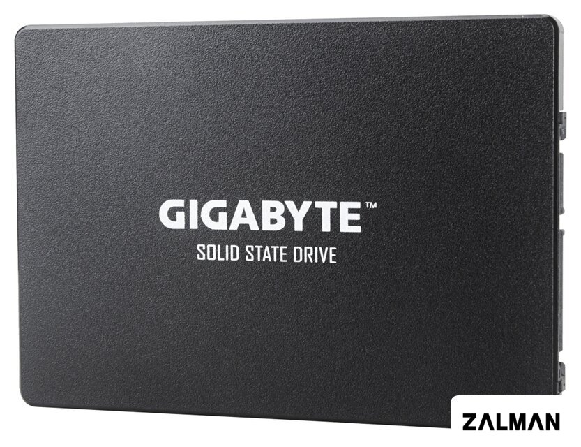 SSD Gigabyte 256GB GP-GSTFS31256GTND