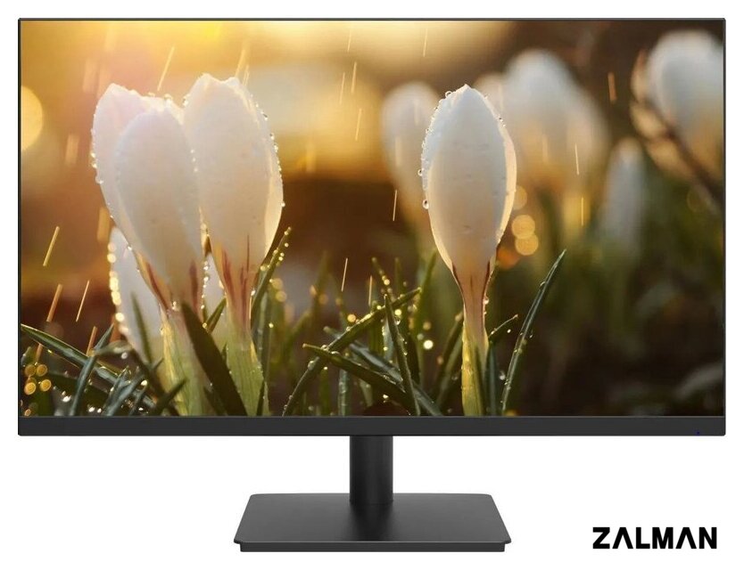 Монитор Dahua DHI-LM24-A201A