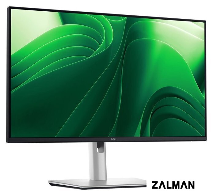 Монитор Dell Pro Plus P2425DE