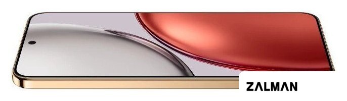 Телефон HONOR X9d 8GB/256GB международная версия (терракотовый)