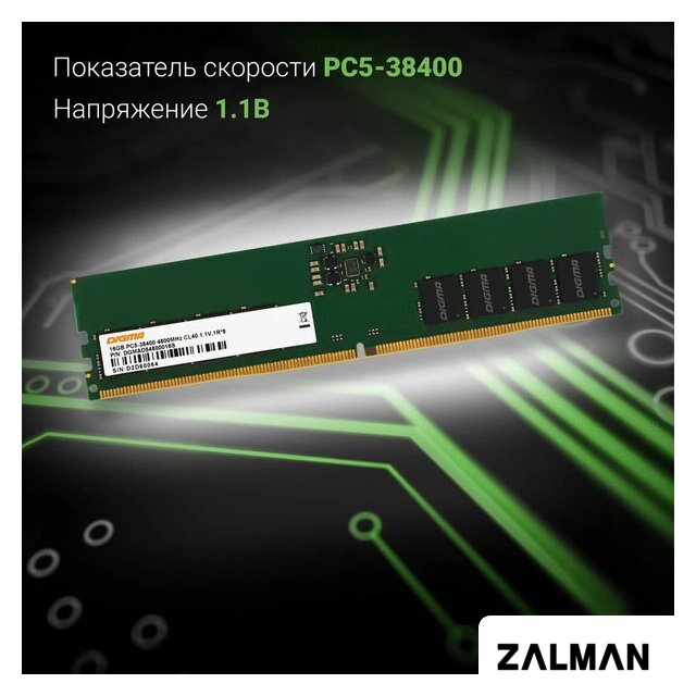 Оперативная память Digma 16ГБ DDR5 4800 МГц DGMAD54800016S