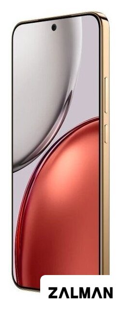 Телефон HONOR X9d 8GB/256GB международная версия (терракотовый)