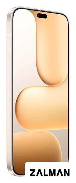 Телефон HONOR 600 Lite 8GB/256GB международная версия (пустынное золото)