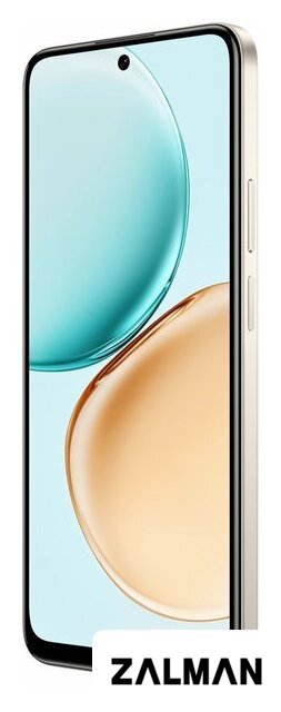 Телефон HONOR X7d LGN-LX1 8GB/128GB международная версия (пустынное золото)