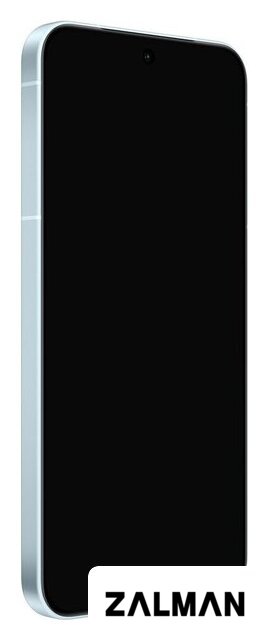 Телефон Vivo X300 V2515 12GB/256GB международная версия (голубой)