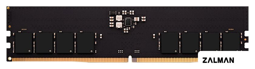 Оперативная память AMD Radeon R5 Entertainment Series 32ГБ DDR5 4800 МГц R5532G4800U2S-U