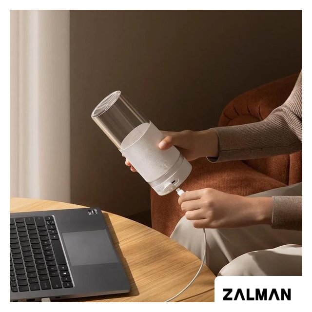Портативный блендер Xiaomi Mijia Portable Juicer Cup 2 MJZZB02PL