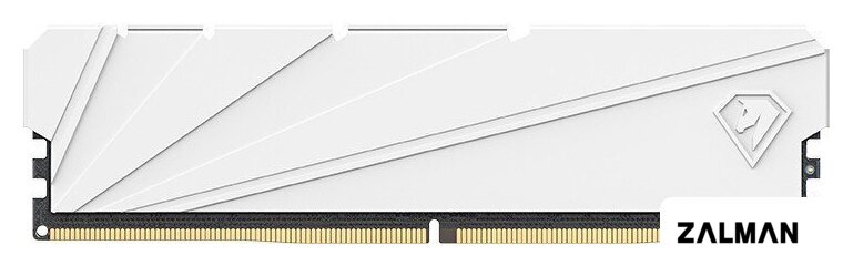 Оперативная память Netac Shadow S 16ГБ DDR4 3200 МГц NTSSD4P32SP-16W