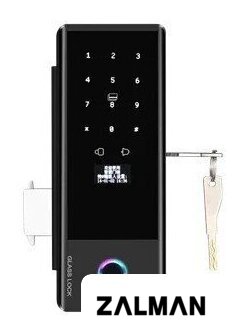 Дверной замок Roome Smart Tuya Digital Fingerprint Lock GS1 (черный)