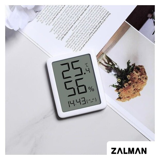 Термогигрометр Miaomiaoce Thermometer Hygrometer MHO-C601