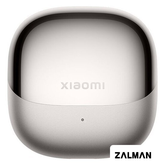Наушники Xiaomi Buds 5 M2341E1 (серый титан, международная версия)