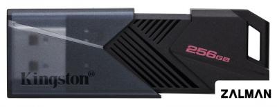 USB Flash Kingston DataTraveler Exodia Onyx 256GB