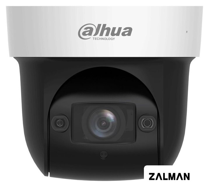 IP-камера Dahua DH-SD29404DB-GNY