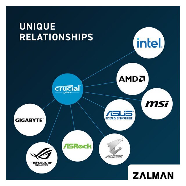 Оперативная память Crucial 16ГБ DDR5 4800 МГц CB16GU4800