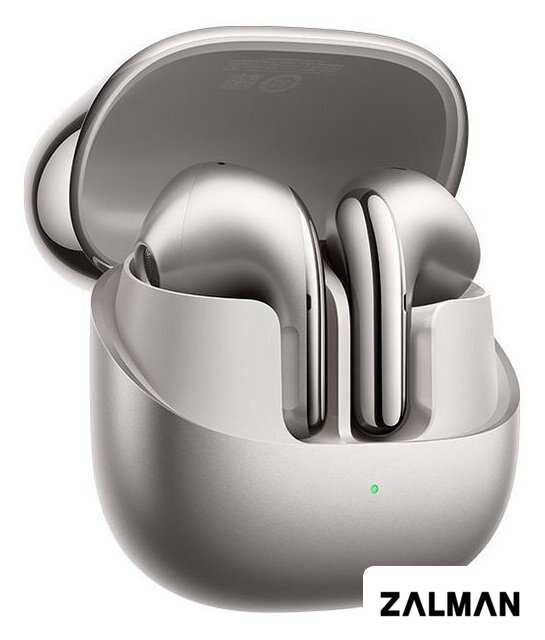 Наушники Xiaomi Buds 5 M2341E1 (серый титан, международная версия)