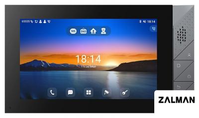 Монитор Fanvil i55A
