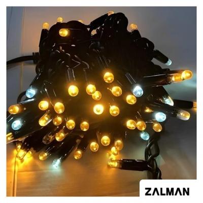 Светодиодная гирлянда ULED Стринг-лайт ULED-SL-100-220V-(F-W-WW/FWW)