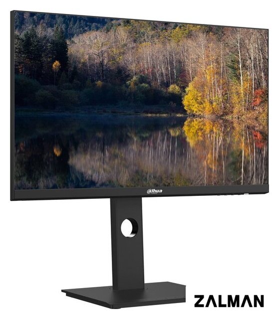 Монитор Dahua DHI-LM24-P301A