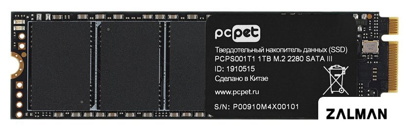 SSD PC Pet 1TB PCPS001T1