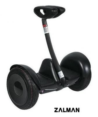 Сегвей Minipro Lite 36 V (черный)