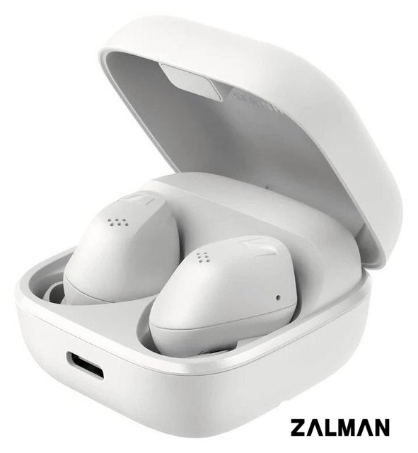 Наушники Sennheiser Accentum True Wireless (белый)
