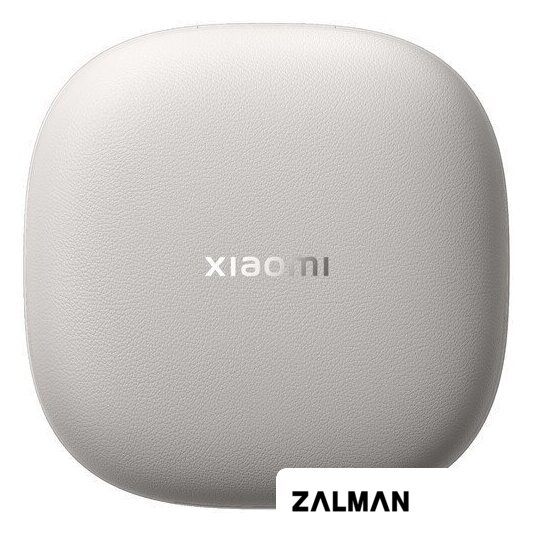Наушники Xiaomi OpenWear Stereo Pro M2503E1 (титановый серый, международная версия)