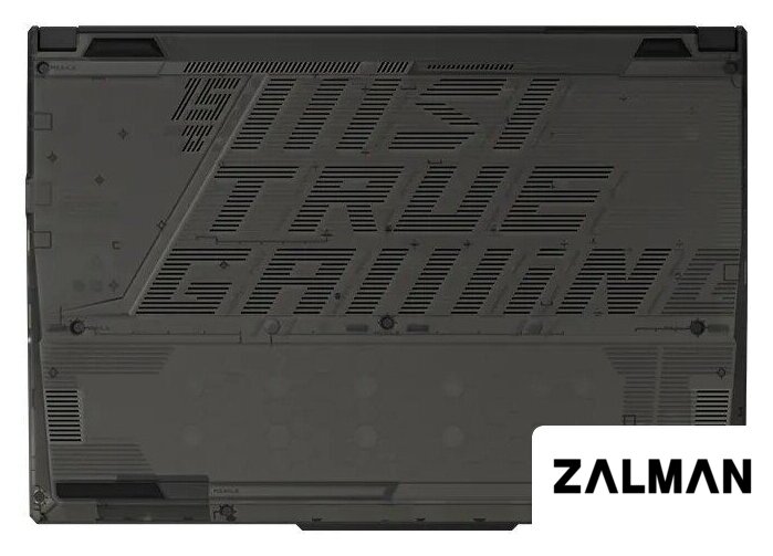 Игровой ноутбук MSI Cyborg 15 A2RVE-2404XBY