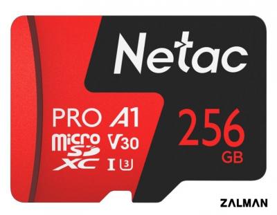 Карта памяти Netac 256GB 500 Extreme Pro NT02P500PRO-256G-R (с адаптером)